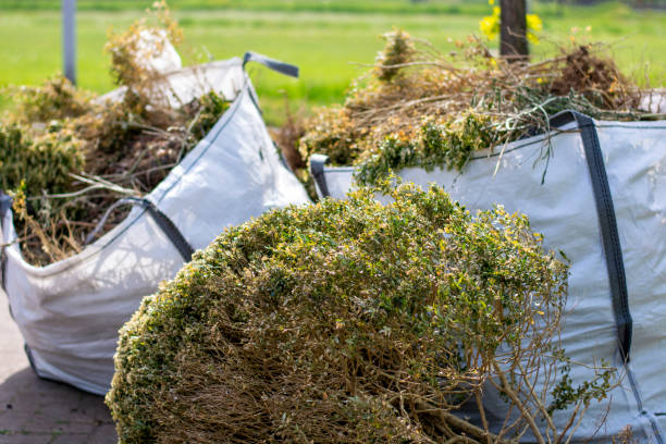 Best Construction Debris Removal  in Goodhue, MN